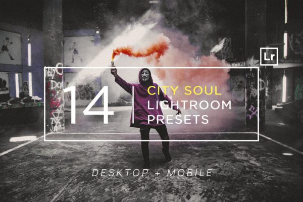 14个现代时尚亮色效果照片处理LR预设工具素材 14 City Soul Lightroom Presets + Mobile