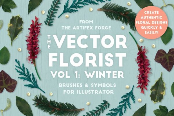 圣诞节矢量花卉AI笔刷工具素材 The Vector Florist – Brushes: Winter