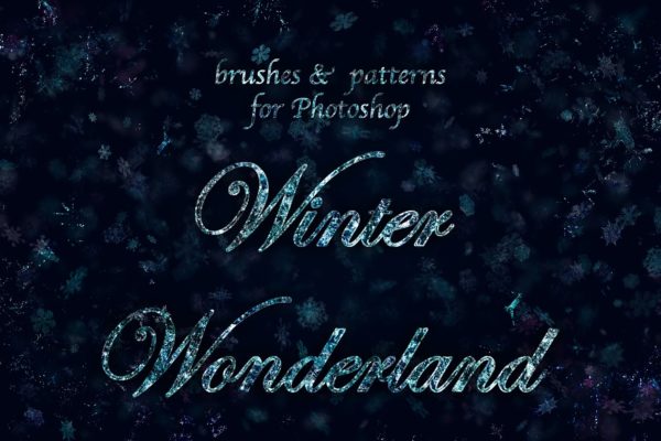 冰雪奇缘冬天主题纹理&笔刷工具素材合集[雪花、冰花&闪光] Winter Wonderland for Photoshop