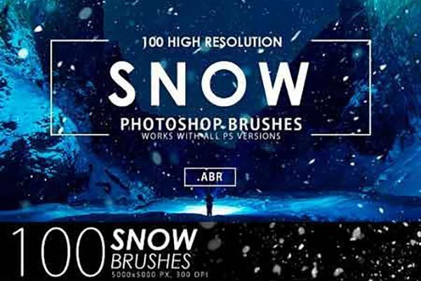 100个逼真雪花的PS笔刷工具素材 100 Snow Photoshop Brushes [abr]