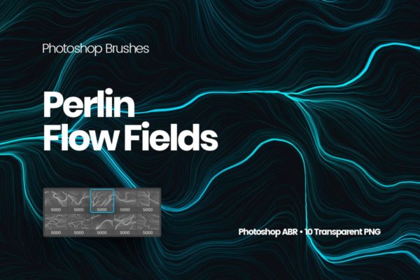 10款高分辨率抽象数流体线条PS笔刷工具素材 Digital Perlin Flow Fields Photoshop Brushes