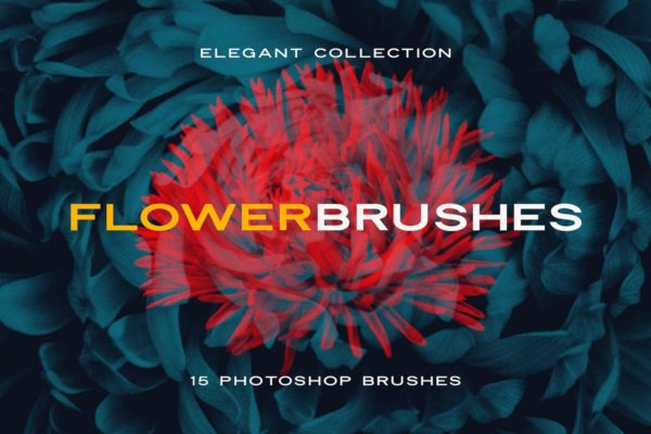 15款优雅花卉图案PS笔刷工具素材 Elegant Flower Brushes for Photoshop