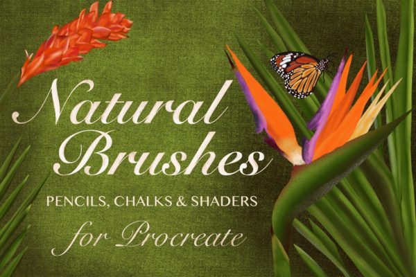 20种超级多功能Procreate笔刷工具素材合集[铅笔/粉笔/着色器] Natural Brushes for Procreate