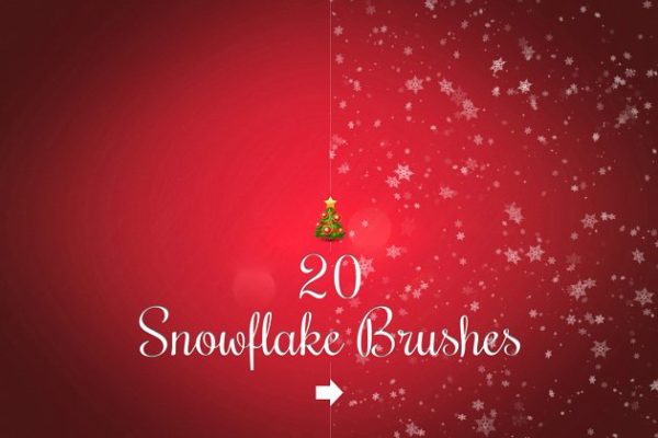 20款圣诞节、冬季雪花笔刷工具素材合集  20 Snowflake brushes