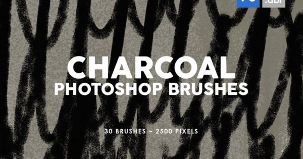 30款木炭纹理PS印章图案笔刷工具素材