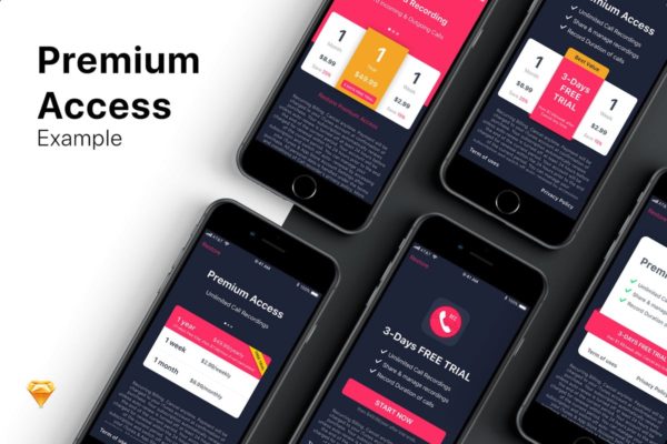 订阅类产品服务APP界面设计UI模板v1 5 Example for Premium Access
