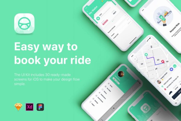 网约车打车出行应用Ui Kits素材套件 Taxi Booking App UI Kit