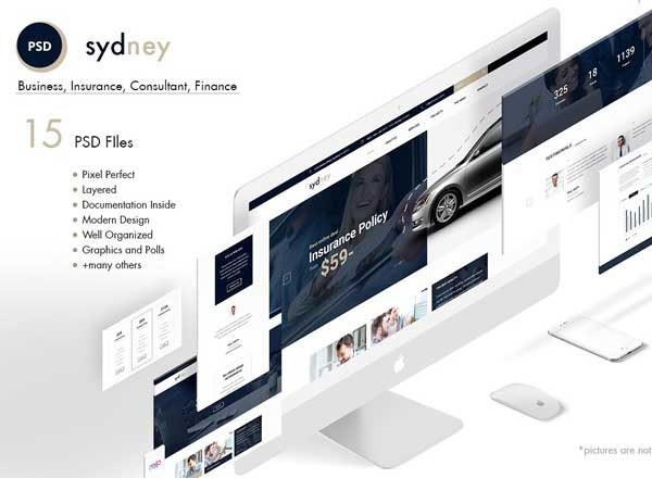 金融咨询类企业网站 PSD 模板 Sydney- Premium Finance Business PSD