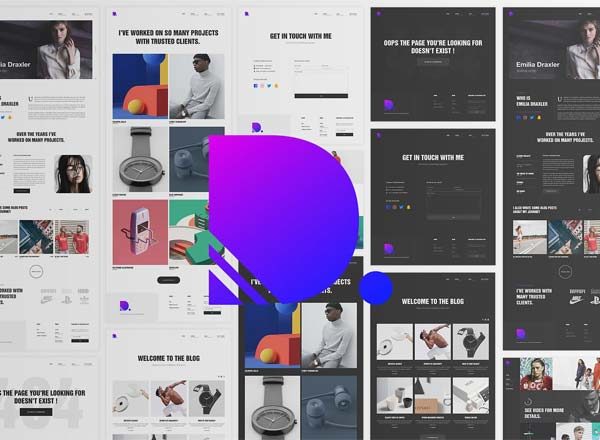 德拉克斯勒 -设计创意组合(网站模板）