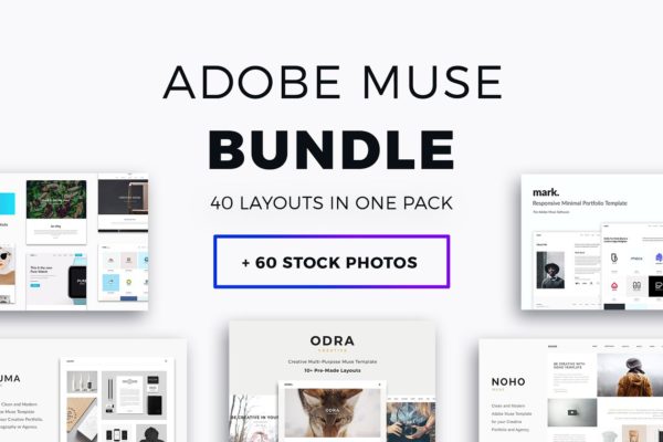 40+超级网站模板[for Adobe Muse] Adobe Muse Bundle – 40+ Templates