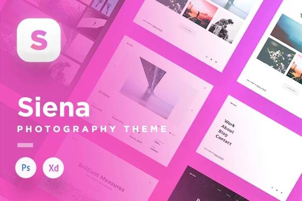 蚂蚁素材下午茶：完美规范的响应式网页模版文件 [PSD,XD]