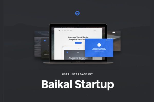产品官网设计UI设计套件模板素材 Baikal Startup