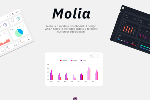 第一素材下午茶：XD打造的实用的网页后台数据统计仪表盘UI KIT [XD]