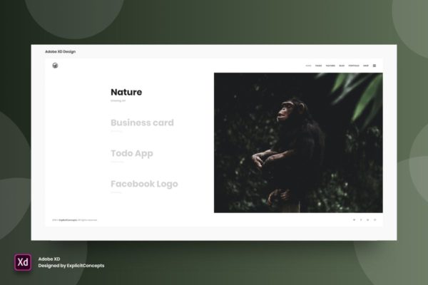 极简主义设计风格网站首页设计模板素材 for XD Interactive Showcase – Adobe XD