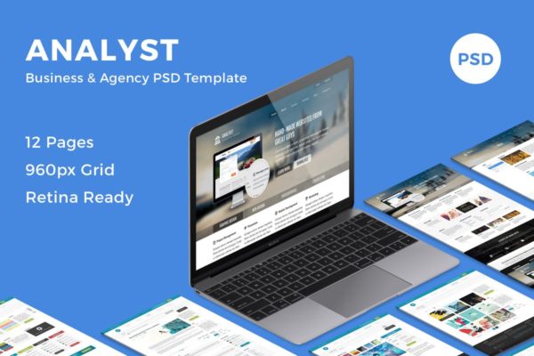 多用途商业网站设计PSD分层设计模板素材 Analyst – Business & Agency PSD Template