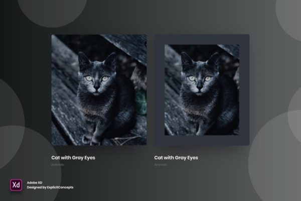 创意网站作品集悬停状态界面设计模板素材Vol.5 Portfolio Hover State Vol 05 – Adobe XD