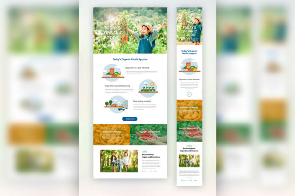 绿色健康有机食品主题网站PSD分层设计模板素材