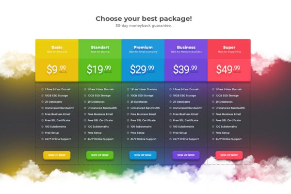 网站服务价格表单UI设计模板素材v28 Price Table 28