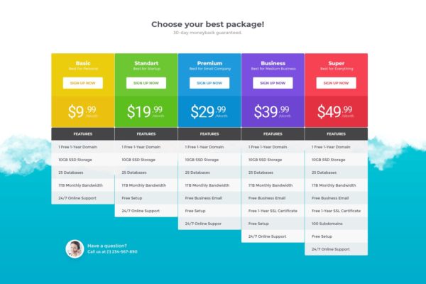 网站价格表单设计UI设计模板素材v26 Price Table 26