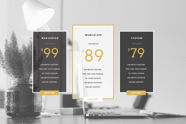 业务服务套餐价格表网页设计模板素材 Table Price 45