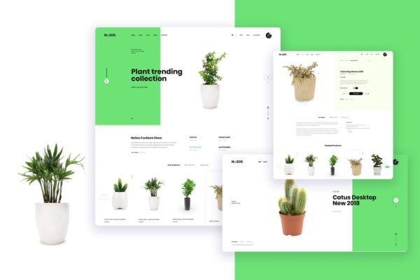 盆栽植物网上商城设计PSD分层设计模板素材 Ne24 – plant store Ecommerce PSD template