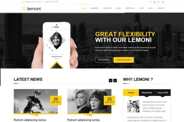 多用途企业网站设计PSD分层设计模板素材[28个页面] Lemoni – Pixel Perfect & Multipurpose PSD Template
