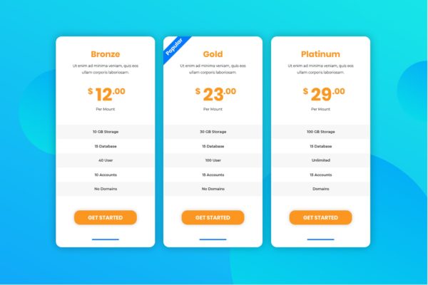 网站服务价格表单UI设计模板素材 Pricing Table