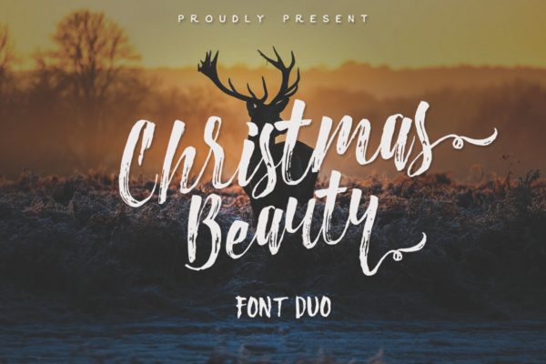 笔刷草书英文装饰设计创意字体 Christmas Beauty