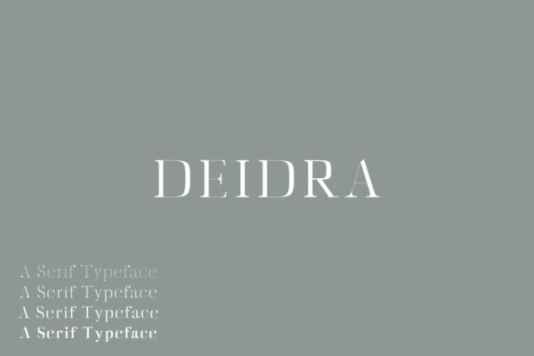 Diedra衬线创意字体系列创意字体家族 Diedra Serif Font Family Pack
