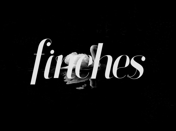 雅致设计风格英文衬线斜体创意字体 Finches Serif Italic Font