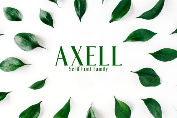 平面设计排版英文衬线创意字体套装 Axell Serif Font Family