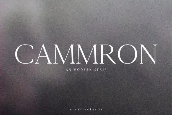 排版印刷网页设计适用的英文衬线创意字体家族 Cammron Serif Font Family