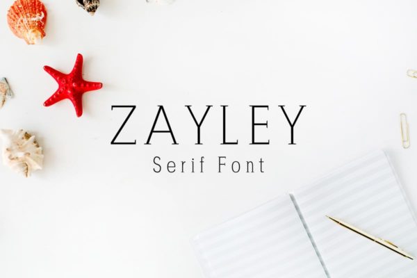 现代独特设计风格英文标语衬线创意字体 Zayley Serif Regular Font