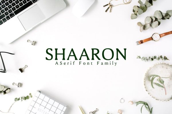 极简优雅风格衬线创意字体家族 Shaaron A New Serif Font Family