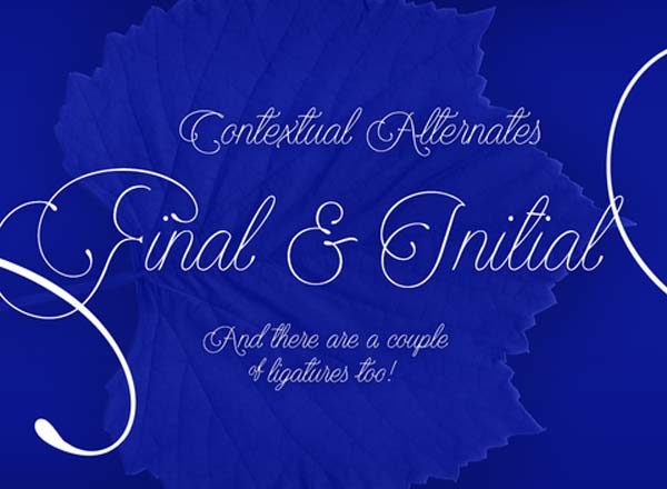 优雅自然英文书法创意字体精选 Encina Script Font Family