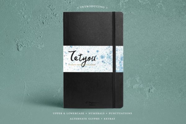 英文手写体创意字体精选+样机+笔刷 Tetyou Script + Mock up + Brushes