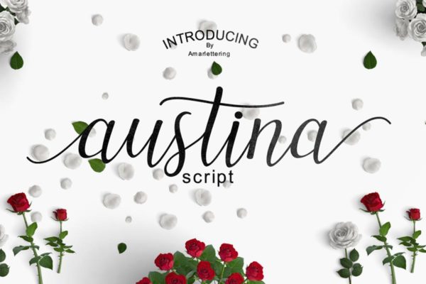 优雅线条手写英文脚本创意字体精选 Austina Script