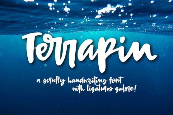 生动有趣的手写英文粗体手写创意字体精选 Terrapin: a bold handwriting script
