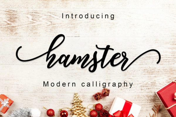 现代手写风格英文创意字体精选 Hamster Script