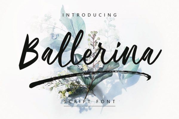 现代优雅书写风格英文手写创意字体精选 Ballerina | Script Font MS