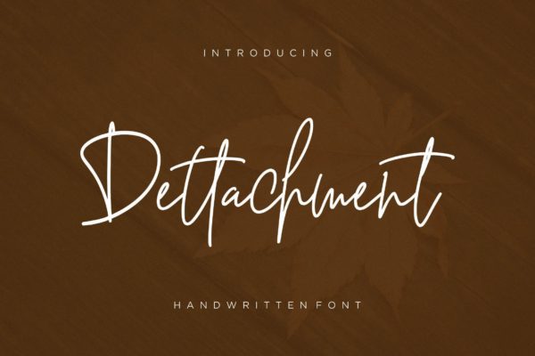 英文钢笔硬笔书法创意字体精选 Dettachment Handwritten