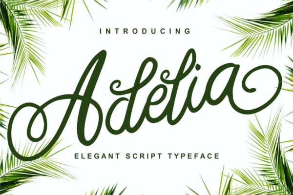 优雅笔画线条英文草书创意字体精选 Adelia – Elegant Script Typeface