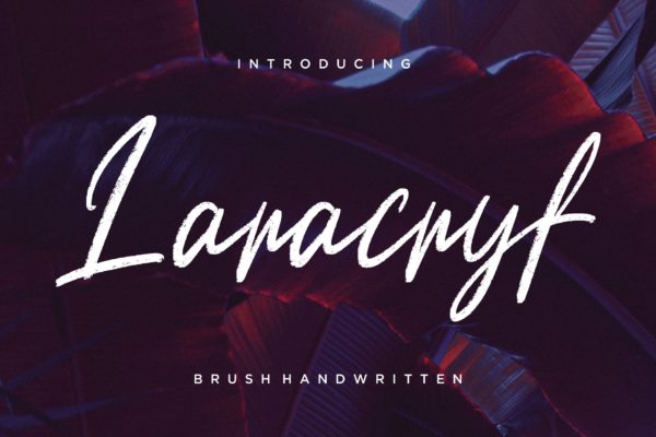 创意英文连体字设计书法创意字体精选 Laracryf Brush Handwritten