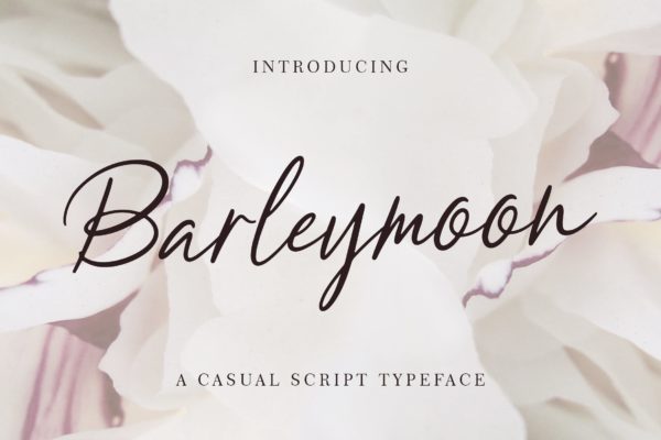 简约优雅英文钢笔书法创意字体精选 Barleymoon Beauty Script Font