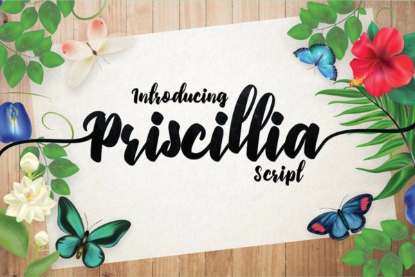 可爱毛笔手绘英文笔刷艺术创意字体精选 Priscillia Script