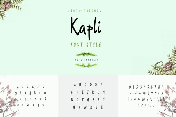 现代柔和英文手写创意字体精选 Kapli – Custom Handmade Font Style