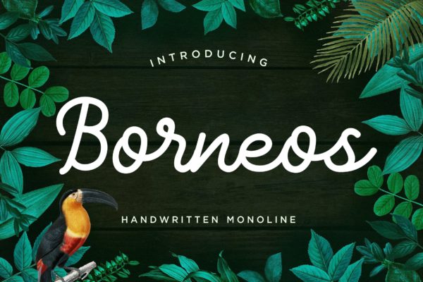 Monoline手写风格英文创意字体精选 Borneos – Monoline Handwriting
