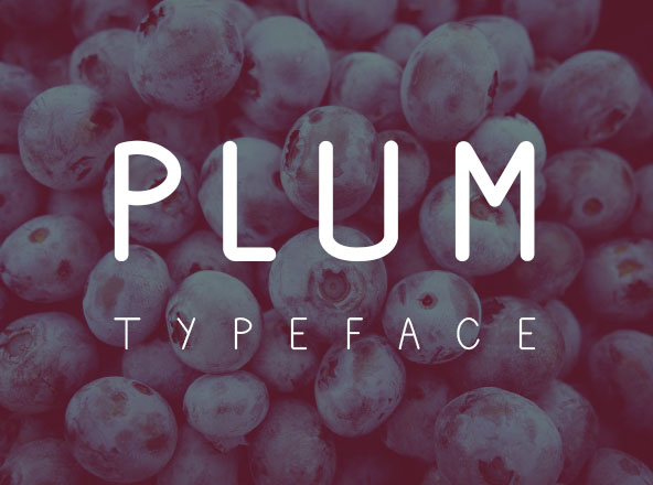 正楷可爱英文手写创意字体精选 Plum Fun Typeface