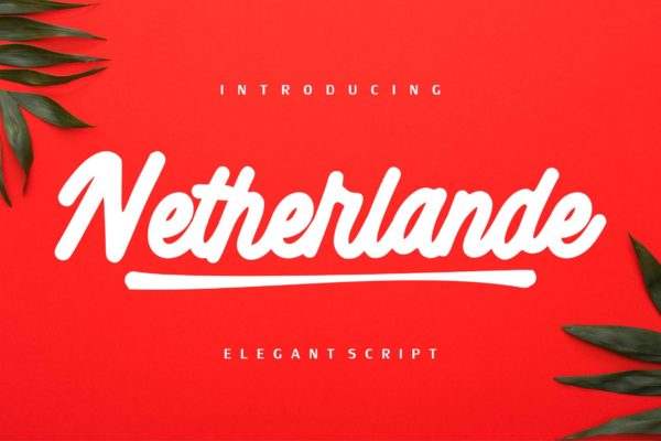 高级品牌设计英文书法创意字体精选 Netherlande – Elegant Script