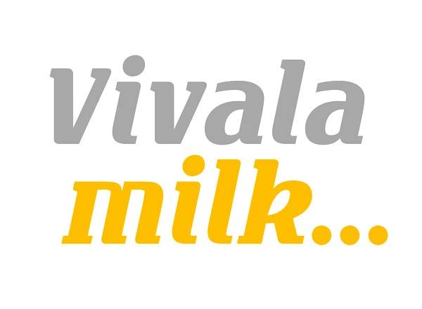 排版无衬线创意字体精选 Vivala Milk Font